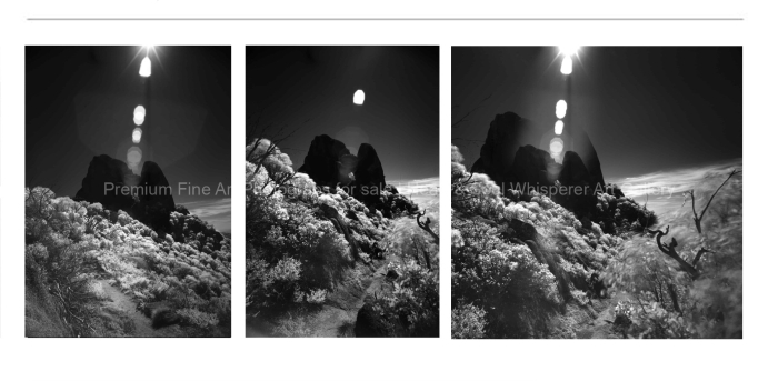 ARTIST-FAVOURITE-INFRARED-The-Cathedral-Mt-Buffalo-BLACK-AND-WHITE-FINE-ART-PHOTOGRAPHS-FOR-SALE