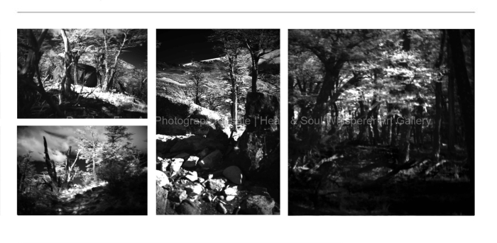 ARTIST-FAVOURITE-INFRARED-Trekking-el-Chalten-BLURRY-BLACK-AND-WHITE-FINE-ART-PHOTOGRAPHY-FOR-SALE