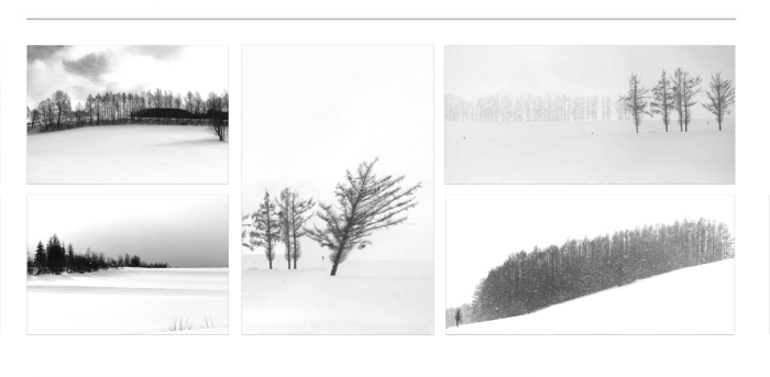ARTIST-FAVOURITE-MINIMALISM-TREES-in-Winter-Japan-BLACK-AND-WHITE-FINE-ART-PHOTOGRAPHY-FOR-SALE