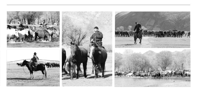 HORSES-EQUINE-Mongolia-BLACK-AND-WHITE-FINE-ART-PHOTOGRAPHY-FOR-SALE