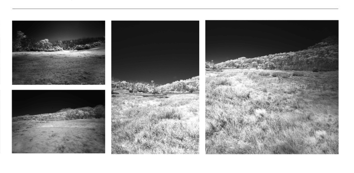 INFRARED-MEADOWS-MT-BUFFALO-BLACK-AND-WHITE-FINE-ART-PHOTOGRAPHY-FOR-SALE