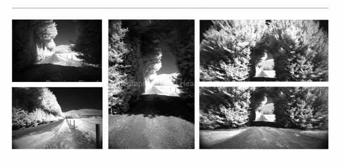 INFRARED-ROAD-TO-MT.-BUFFALO-BLACK-AND-WHITE-FINE-ART-PHOTOGRAPHS-FOR-SALE