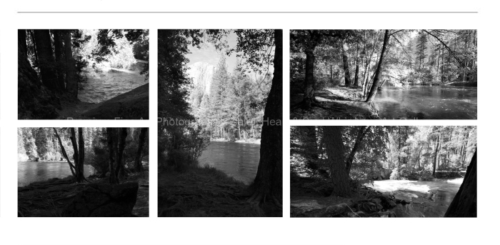 LANDSCAPE-Lake-framed-by-Trees-yosemite-BLACK-AND-WHITE-FINE-ART-PHOTOGRAPHY-FOR-SALE