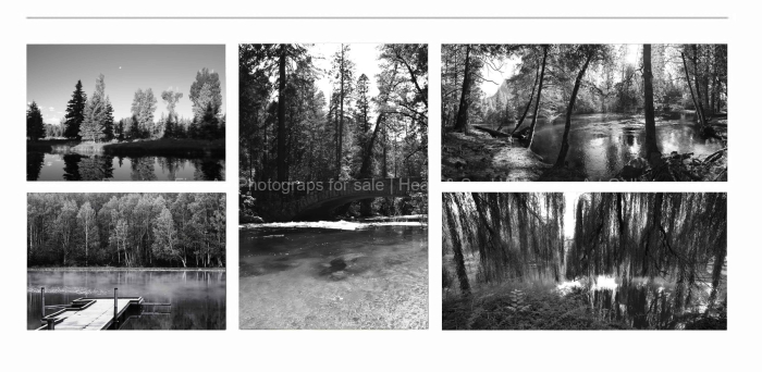 TREES-AT-THE-WATER-EDGE-LAKE-BLACK-AND-WHITE-FINE-ART-PHOTOGRAPHS-FOR-SALE
