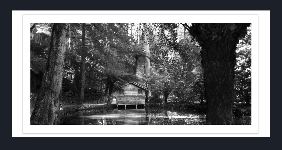 18.42-AUSTRALIAN-LANDSCAPE-Black-and-White-Photographs-Alfred-Mem-Park-Victoria-L1017909-2019