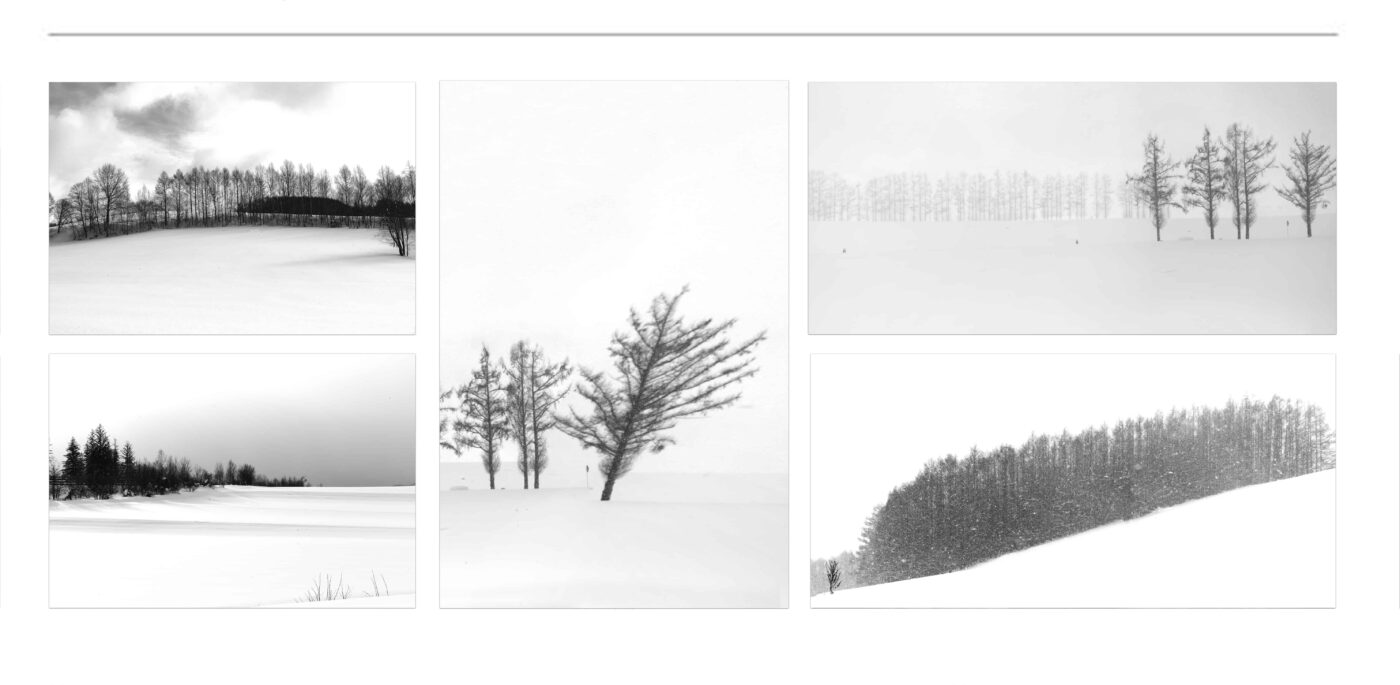CURATED FINE ART COLLECTIONS | Black & White Photographs for sale