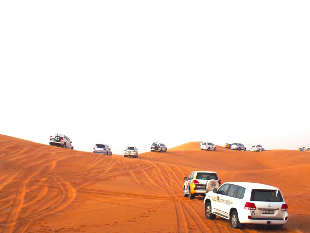 Arabian Adventures with Desert Safari in Dubai 5