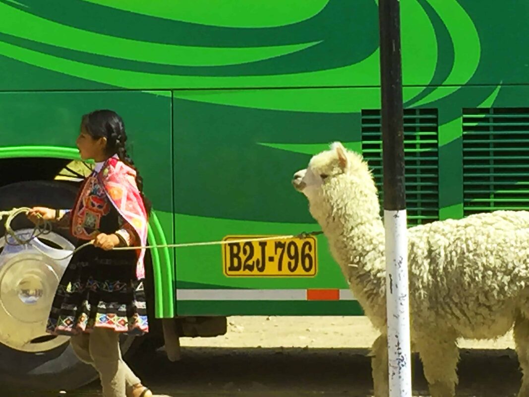 Cusco to Puno Peru Travel by Bus 17