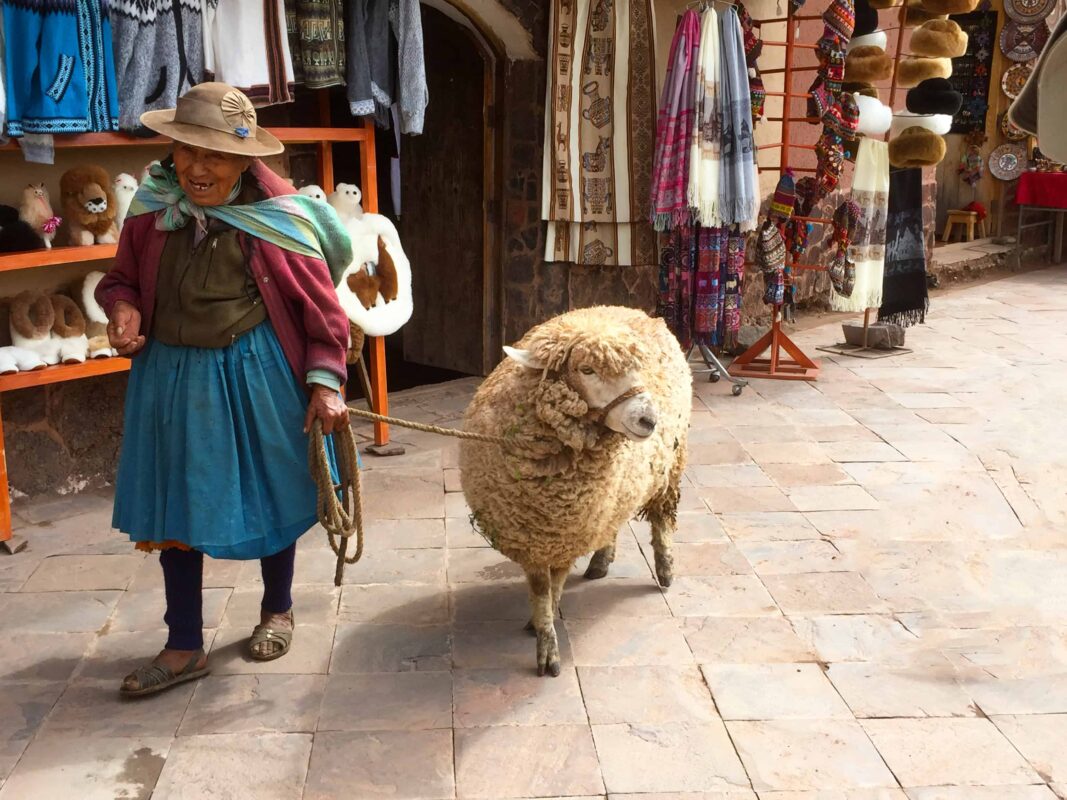 Cusco to Puno Peru Travel by Bus 3 1
