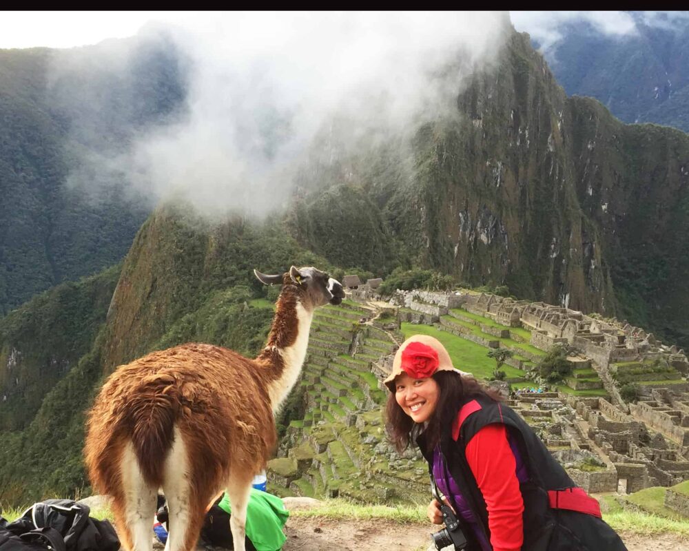 DR ZENAIDY CASTRO and The Llamas of Machu Picchu 19