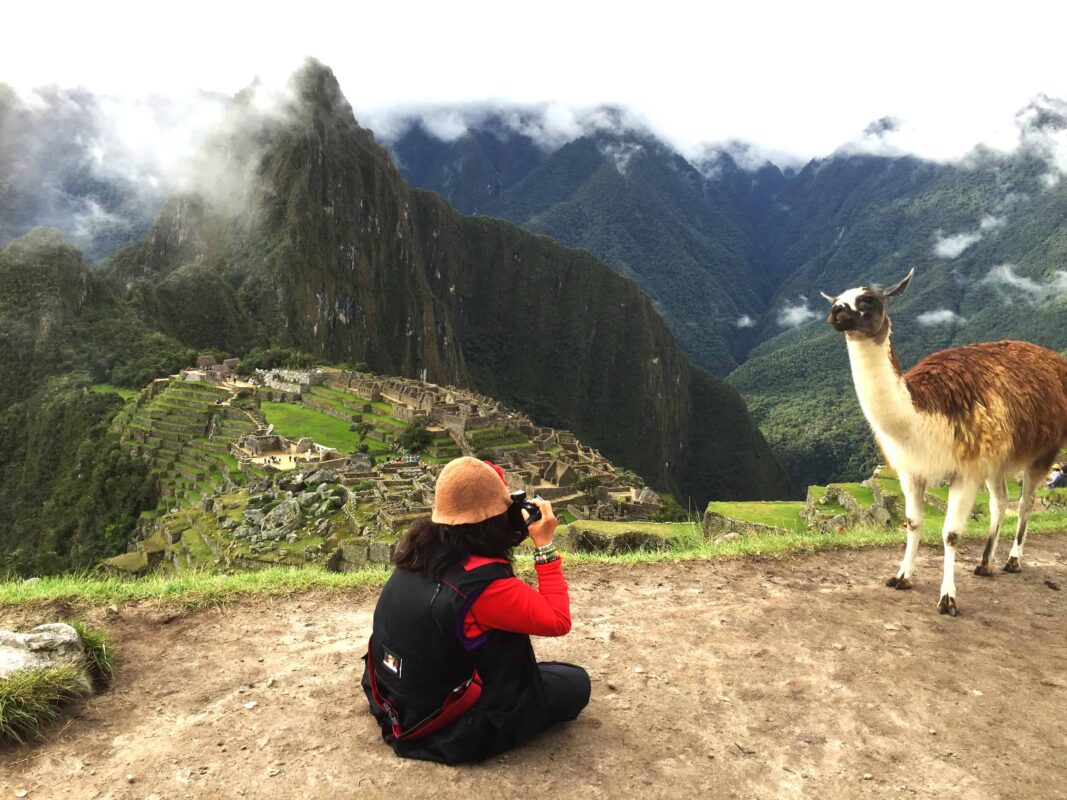 DR ZENAIDY CASTRO and The Llamas of Machu Picchu 20