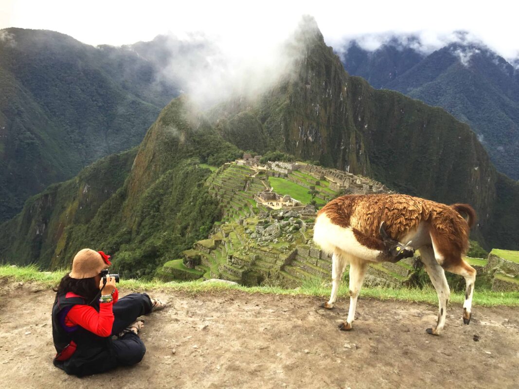 DR ZENAIDY CASTRO and The Llamas of Machu Picchu 22