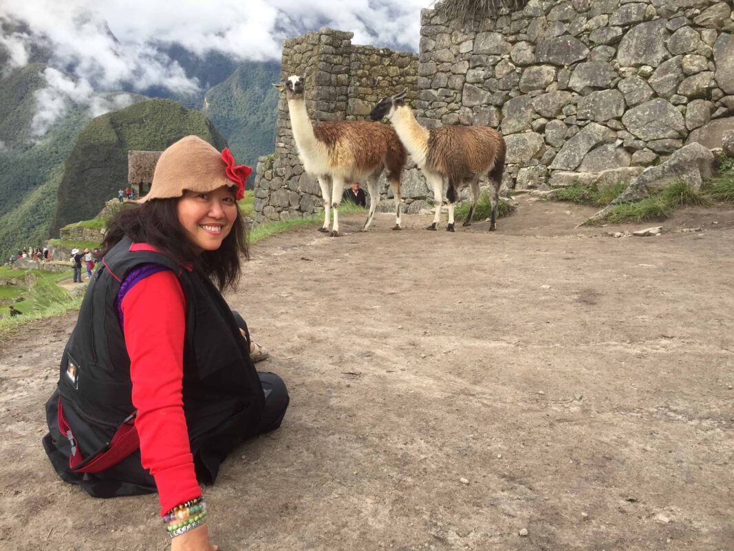 DR ZENAIDY CASTRO and The Llamas of Machu Picchu 24