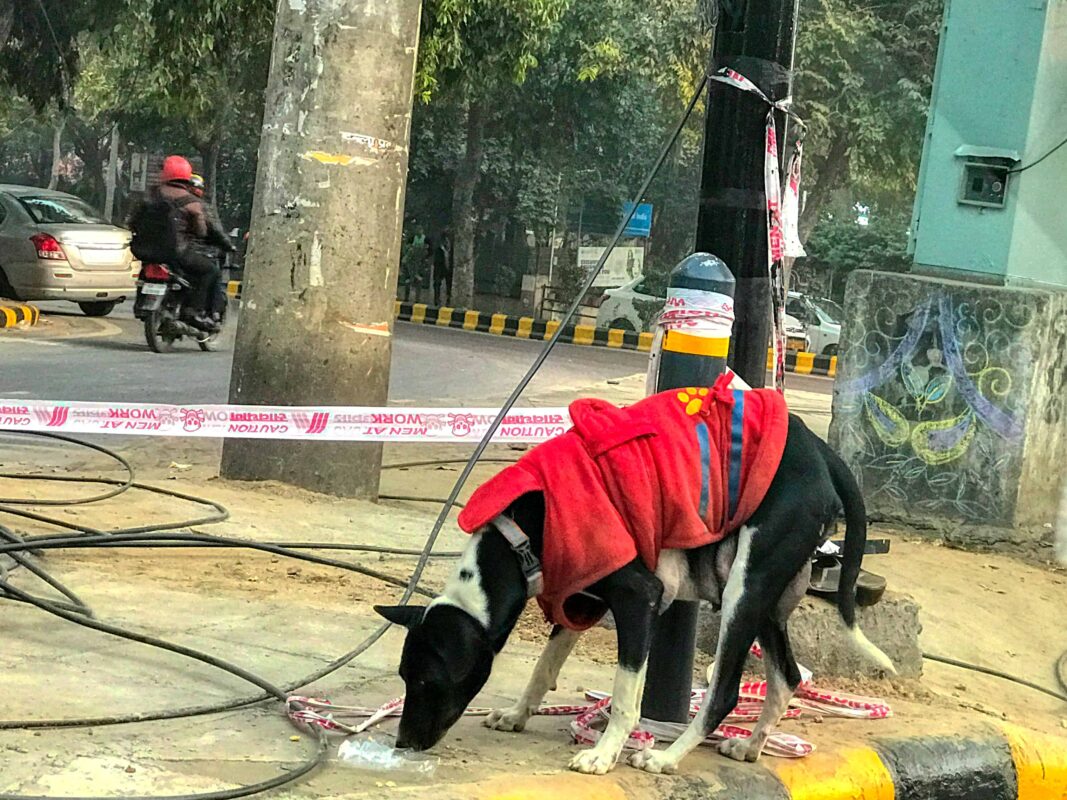 India Street Photography FAMOUS street photographer Dr Zenaidy Castro 47