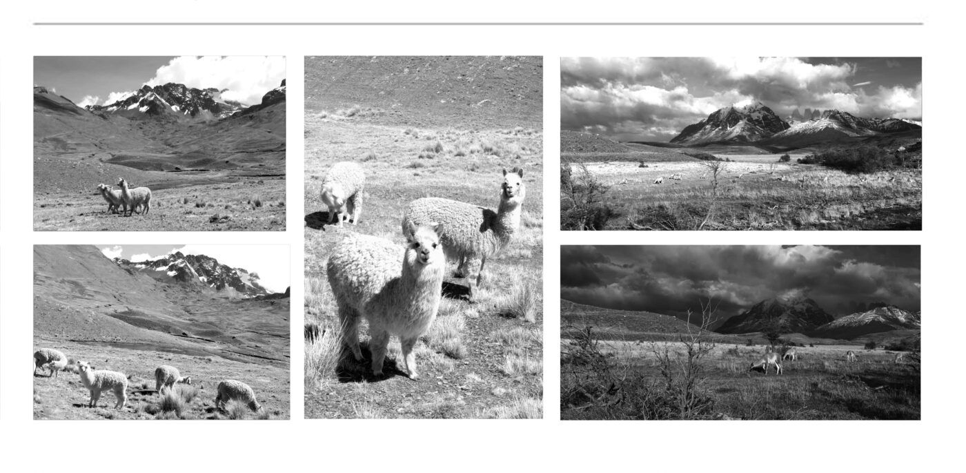 CURATED FINE ART COLLECTIONS | LANDSCAPE Black & White Photographs for sale