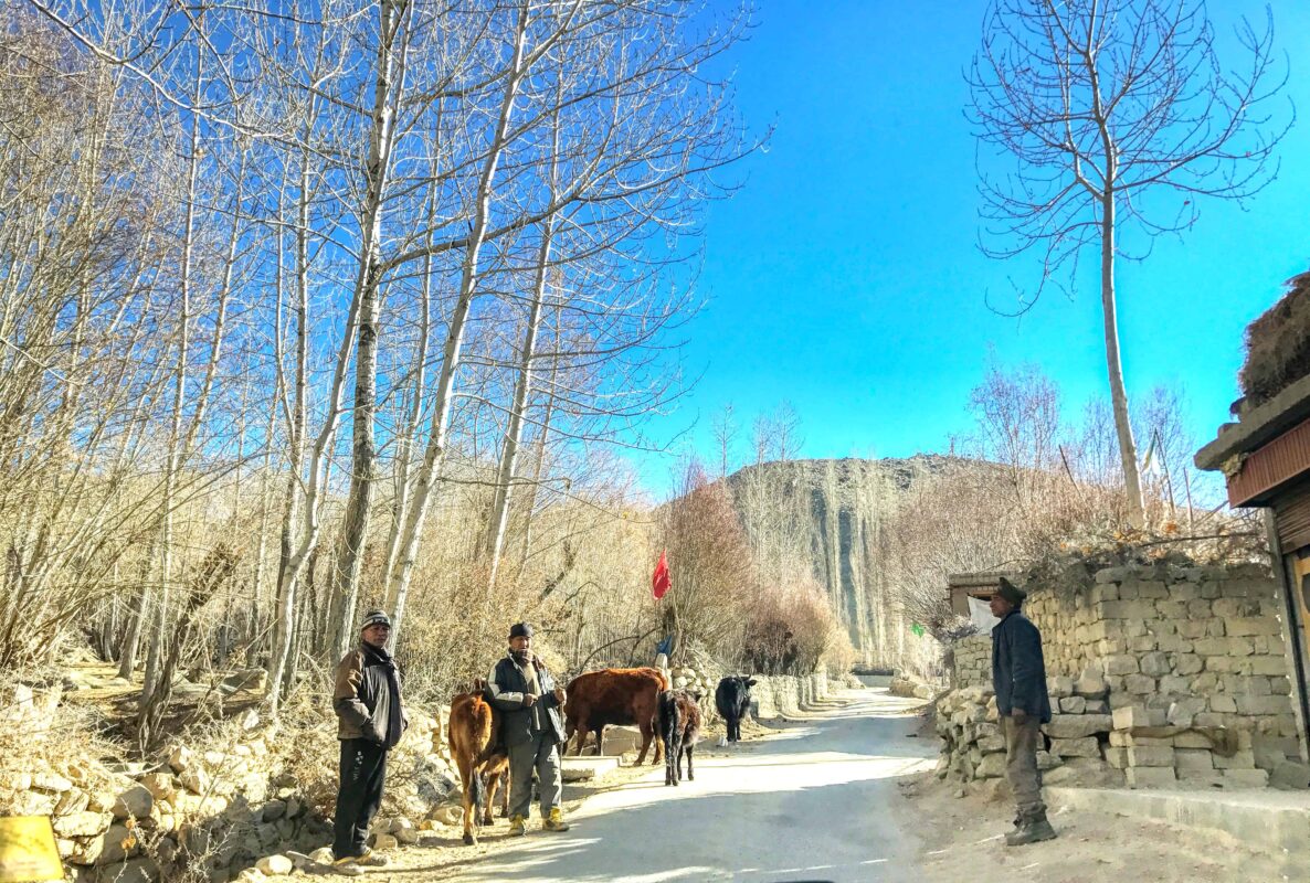 Leh Ladakh travel India 13