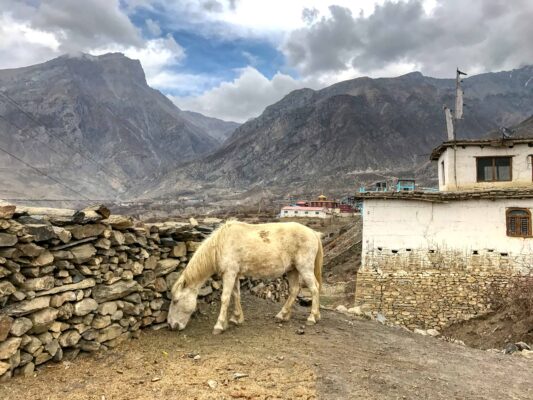 PICTORIAL TRAVELOGUE: Lower Mustang Nepal part 1 -The Trekking Trail