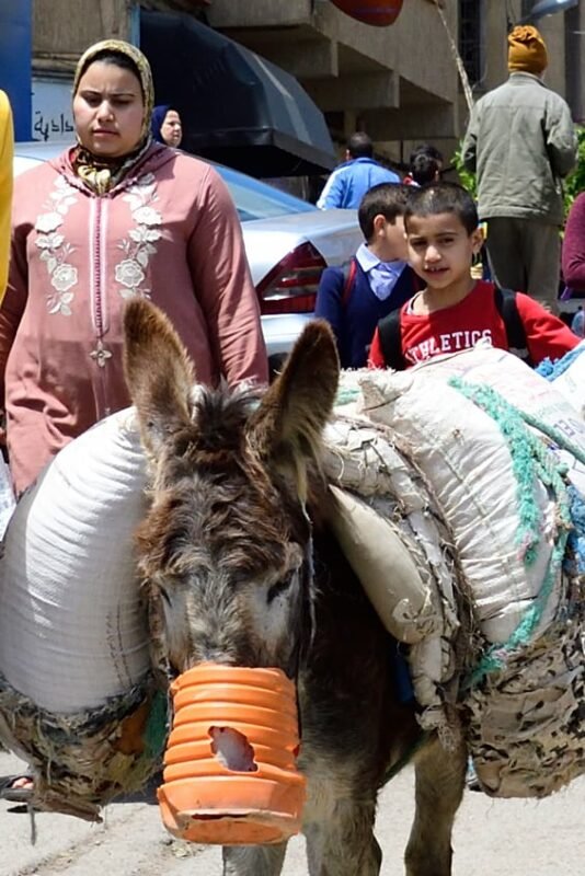 Morocco street photography by Dr Zenaidy Castro 10