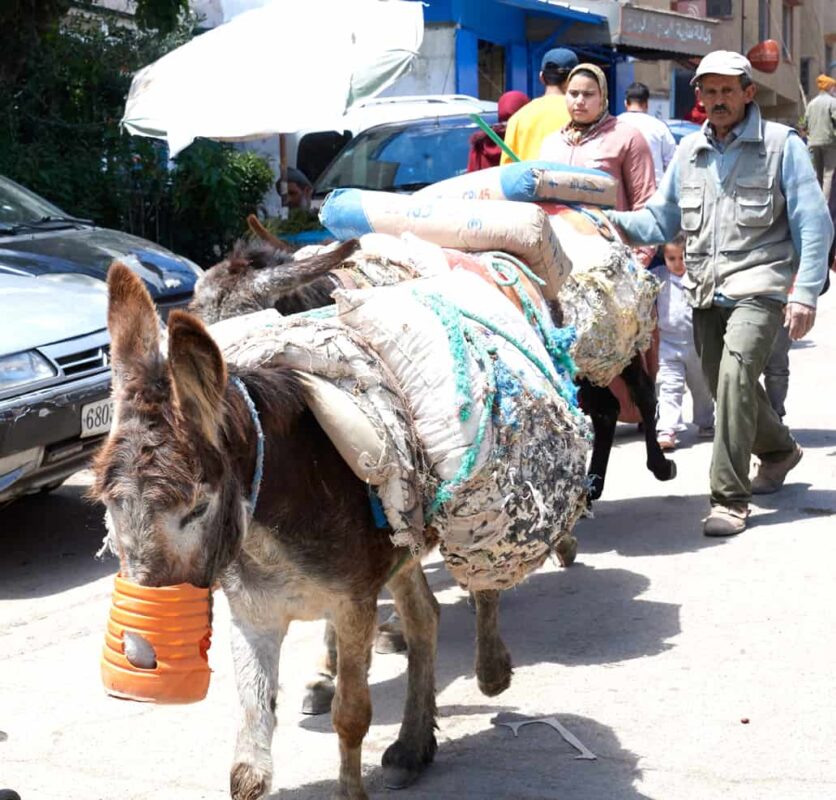 Morocco street photography by Dr Zenaidy Castro 11