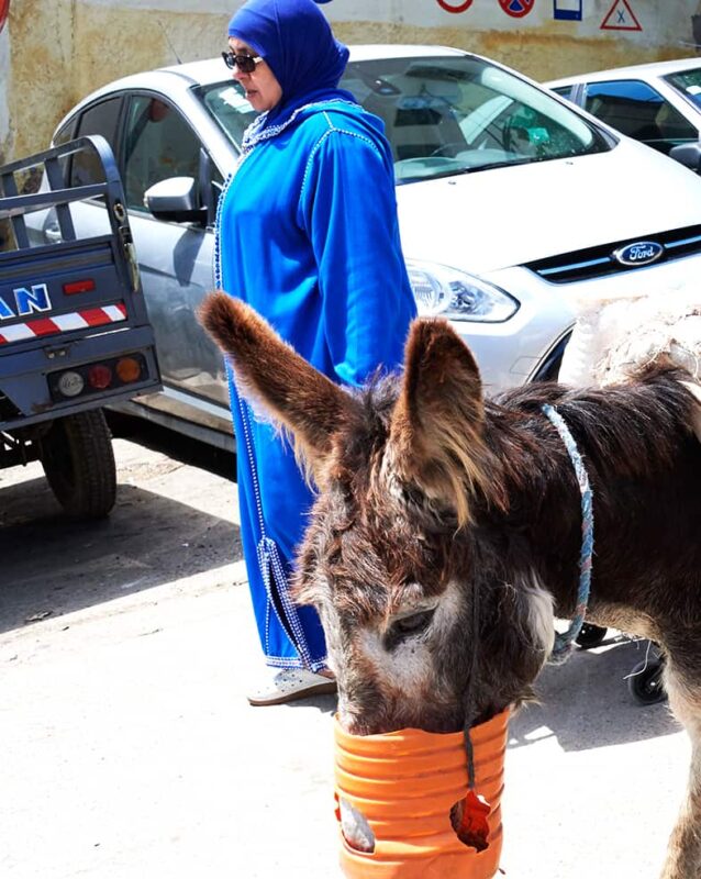 Morocco street photography by Dr Zenaidy Castro 12