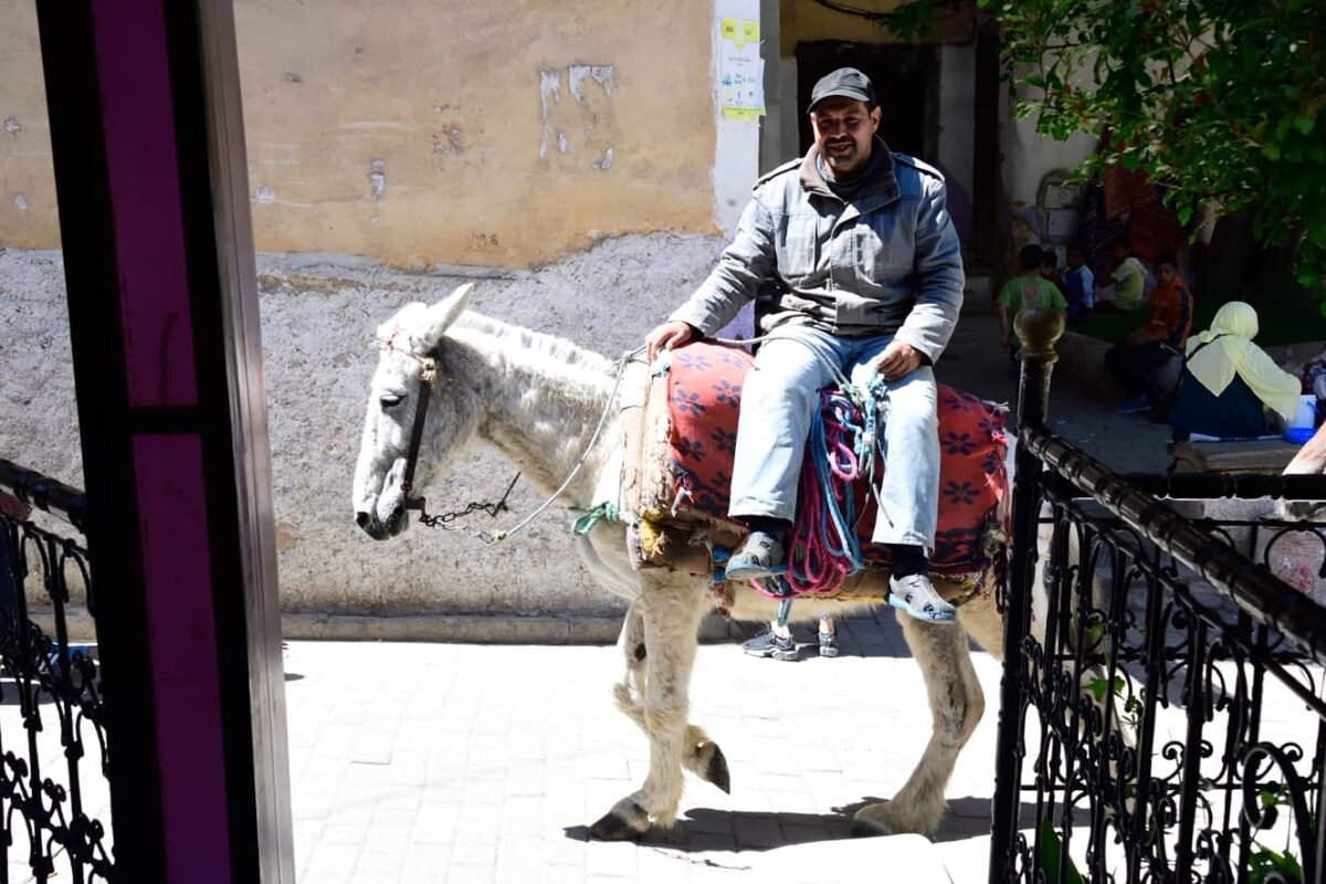 Morocco street photography by Dr Zenaidy Castro 68