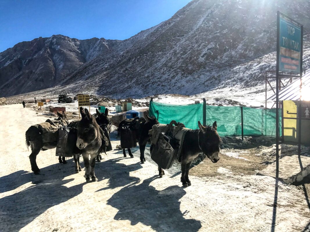Road Trip from Leh to Pangong Lake Ladakh India travel 12