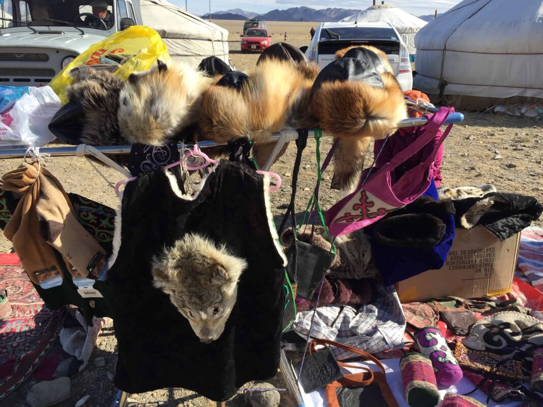 Shopping Experience inside Mongolias Naadam Festival 13