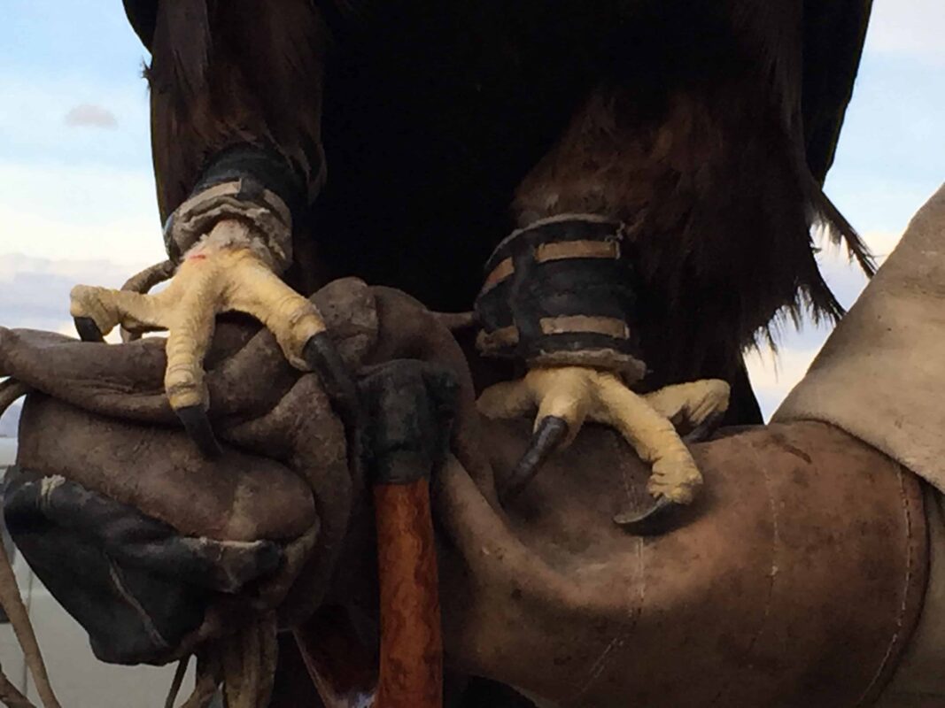 TRAVEL VISUAL DIARY EAGLE HUNTERS INSIDE NAADAM FESTIVAL 34