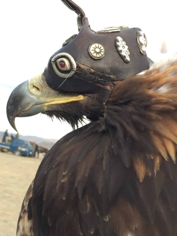 TRAVEL VISUAL DIARY EAGLE HUNTERS INSIDE NAADAM FESTIVAL 60