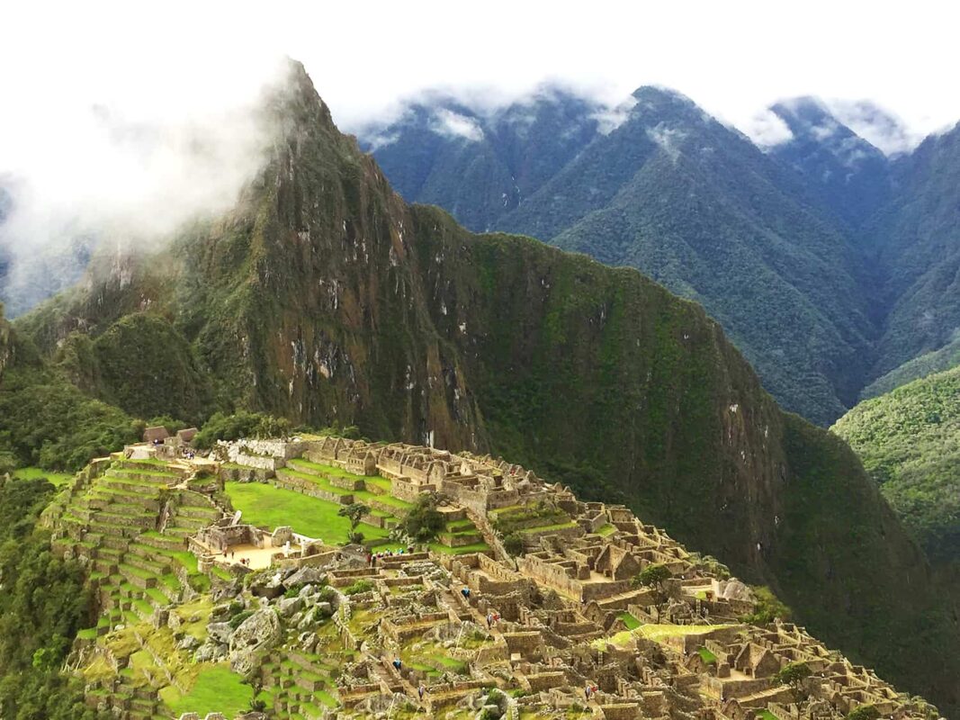 The Llamas of Machu Picchu 10