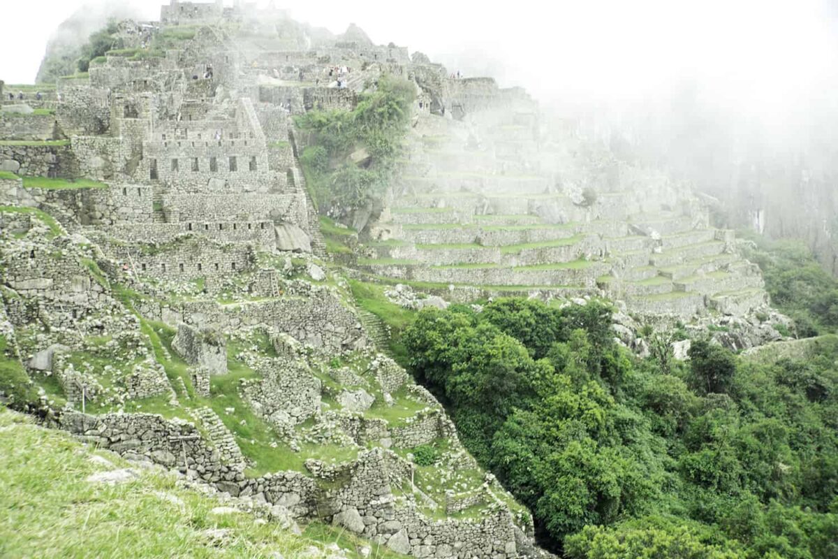 The Llamas of Machu Picchu 11