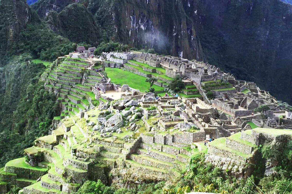 The Llamas of Machu Picchu 14