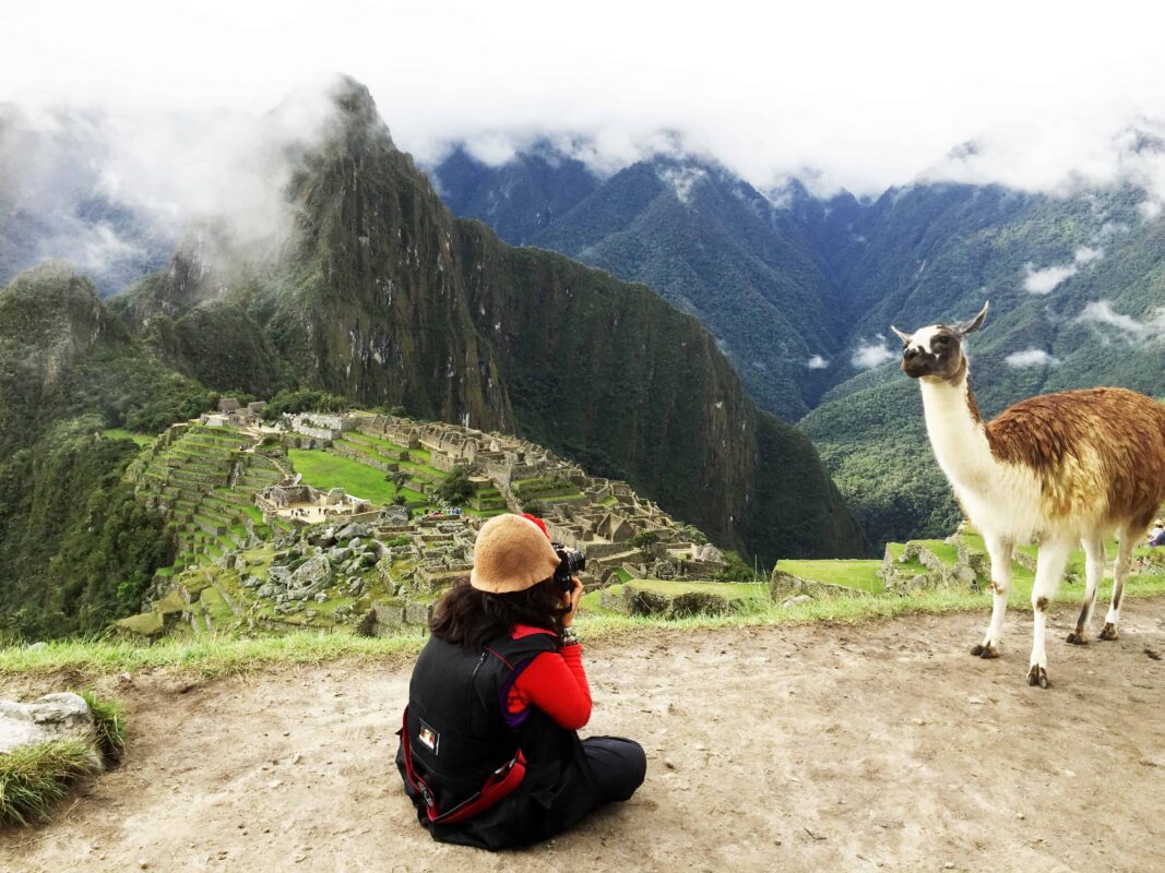 The Llamas of Machu Picchu 18