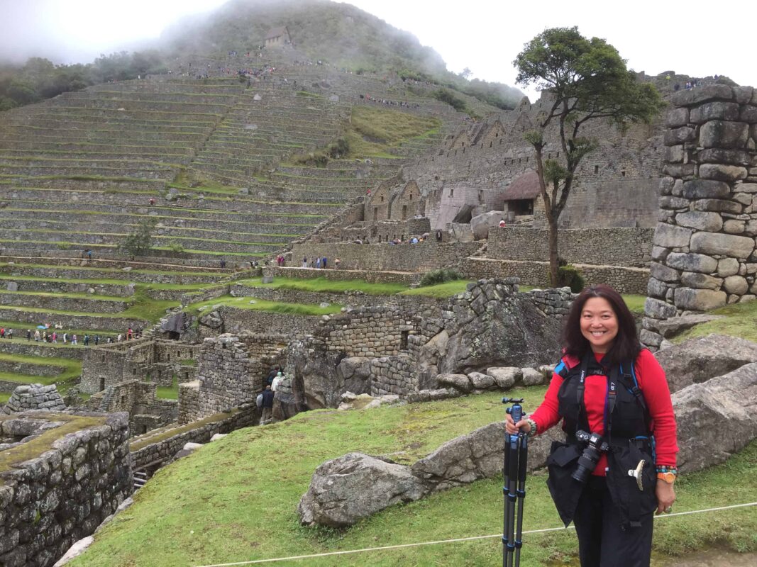 The Llamas of Machu Picchu 5