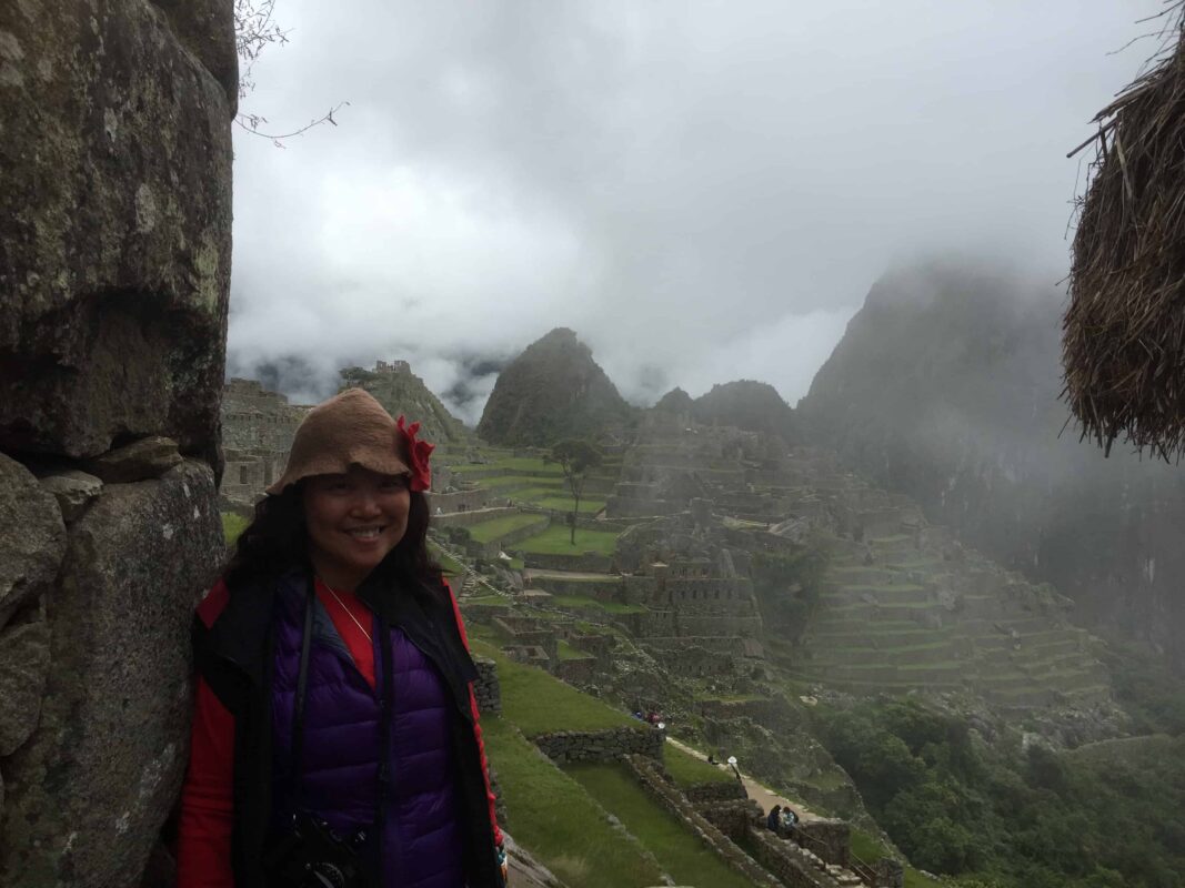 The Llamas of Machu Picchu 6