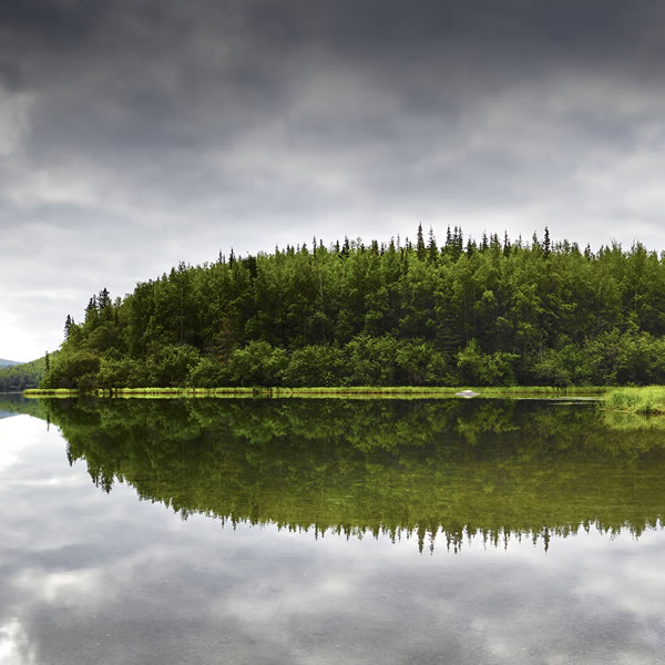 award winning water Reflection Photography by Dr Zenaidy Castro 10