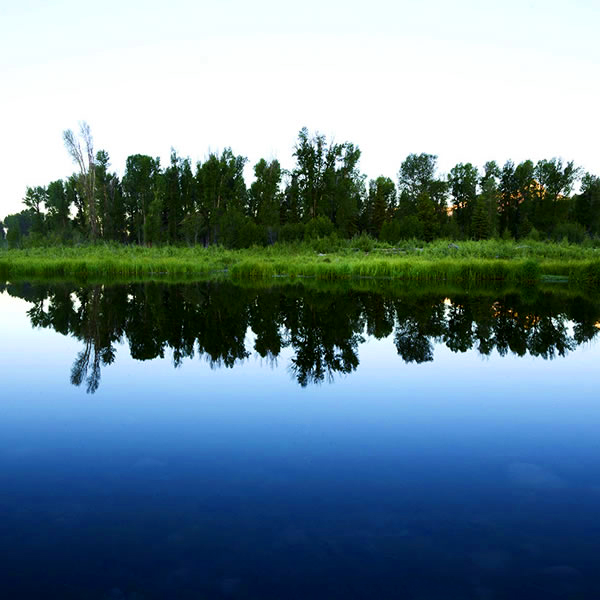 award winning water Reflection Photography by Dr Zenaidy Castro 3