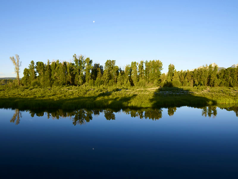 award winning water Reflection Photography by Dr Zenaidy Castro 4