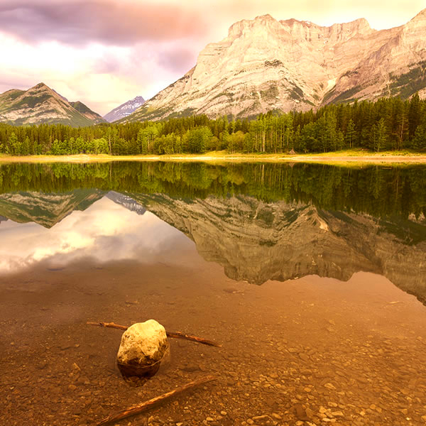 award winning water Reflection Photography by Dr Zenaidy Castro 5