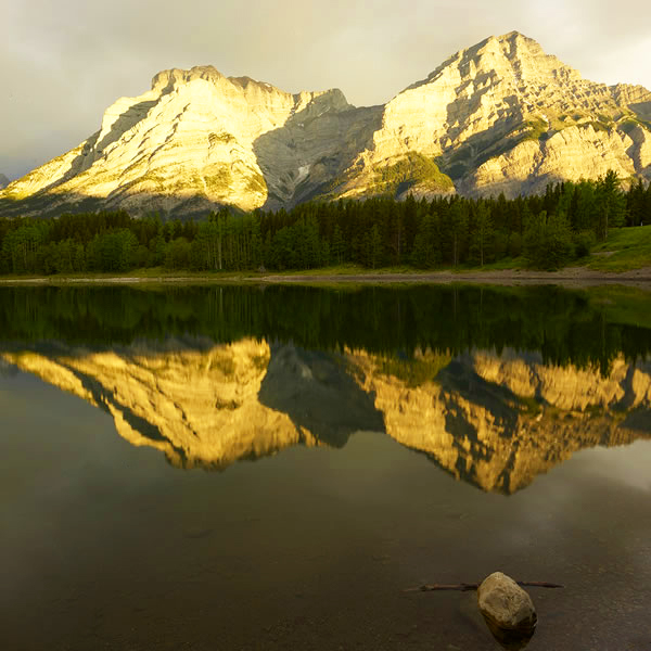 award winning water Reflection Photography by Dr Zenaidy Castro 6