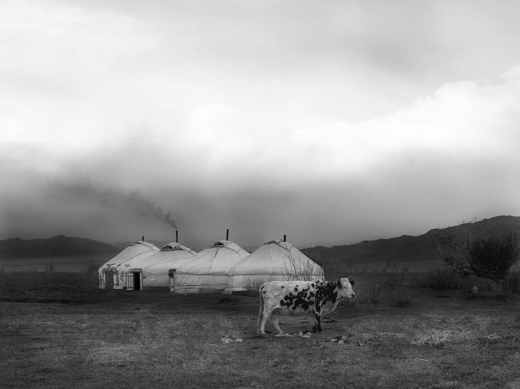 dr zenaidy castro photographs of Mongolian LANDSCAPE