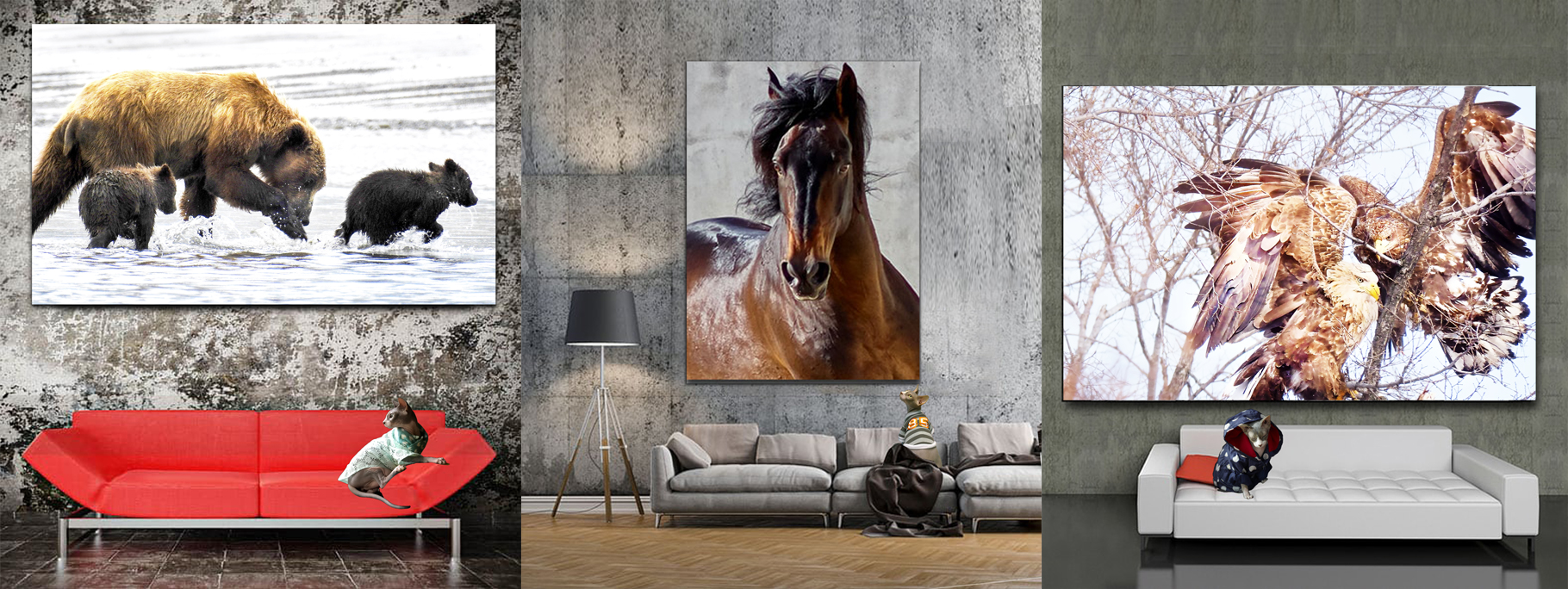 Animal Portraits Wall Art for Sale - Close up Animal Art by Dr Zenaidy Castro