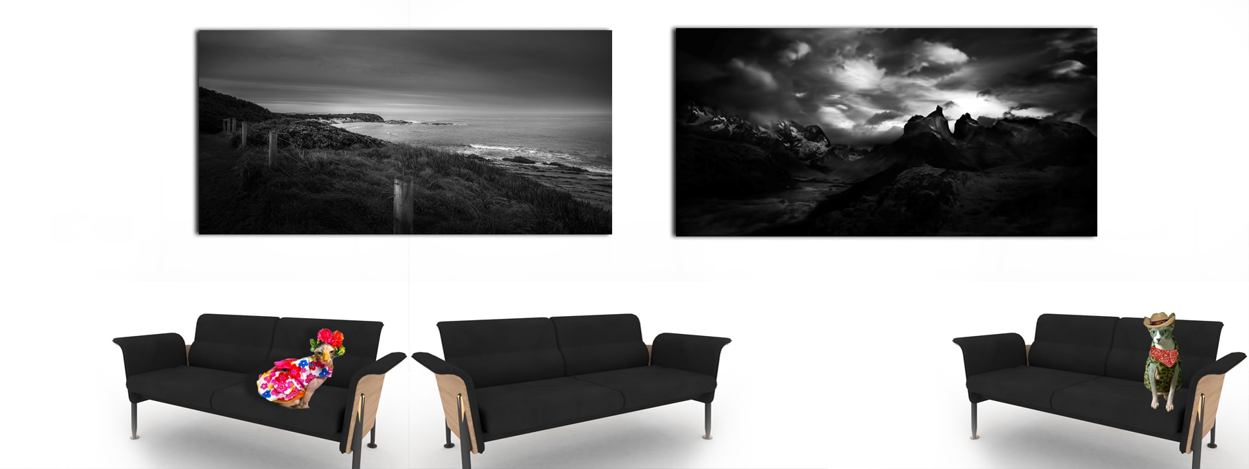 Black and White Panorama - Panoramic Landscape Photos