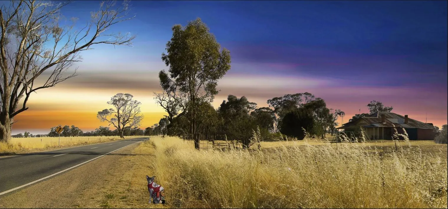 Country and Rural Landscape, Rural Scene Art for Sale, Country Rural and Pastoral Landscape Images for sale, Country Photography Prints, Rural Photography