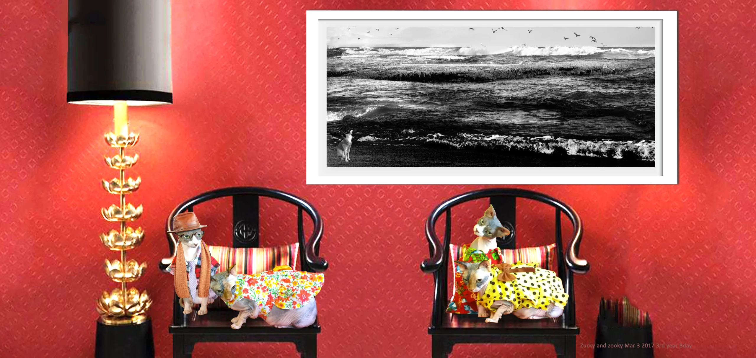 Original Art and Fine Art Photographs with Sphynx Cats Photos ZUCKY - HEART & SOUL WHISPERER ART