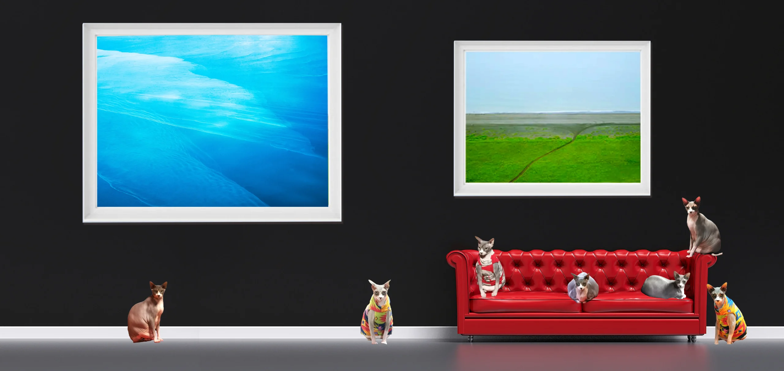 Original Art and Fine Art Photographs with Sphynx Cats Photos ZUCKY - HEART & SOUL WHISPERER ART