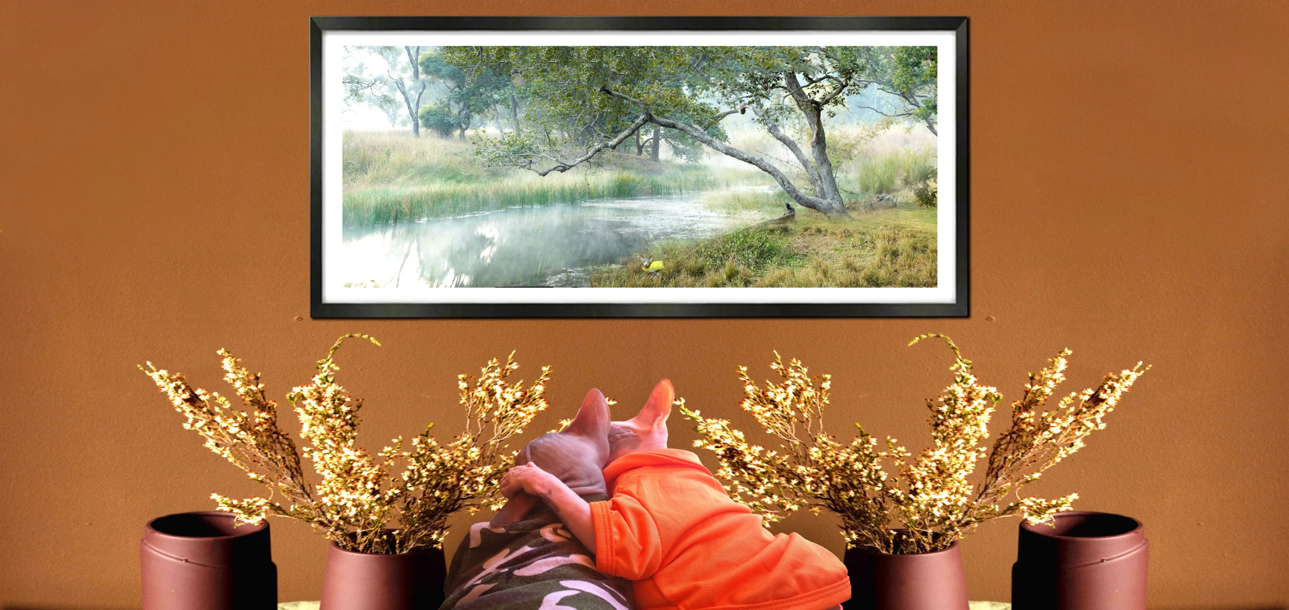 Original Art and Fine Art Photographs with Sphynx Cats Photos ZUCKY - HEART & SOUL WHISPERER ART GALLERY Melbourne Australia