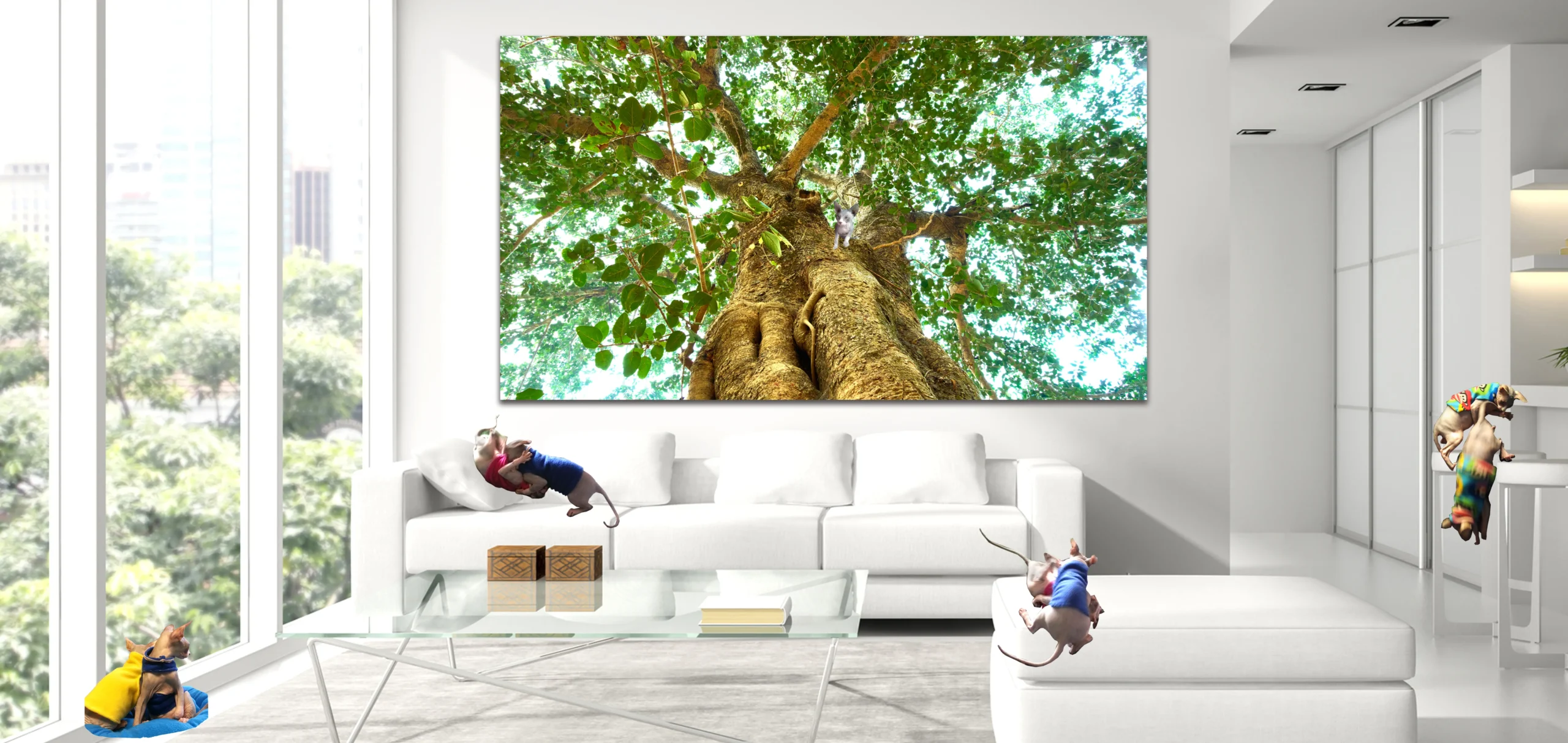Panoramic Trees Forests and Woodlands Photos for sale ,Fine Art Photography with sphynx Cats